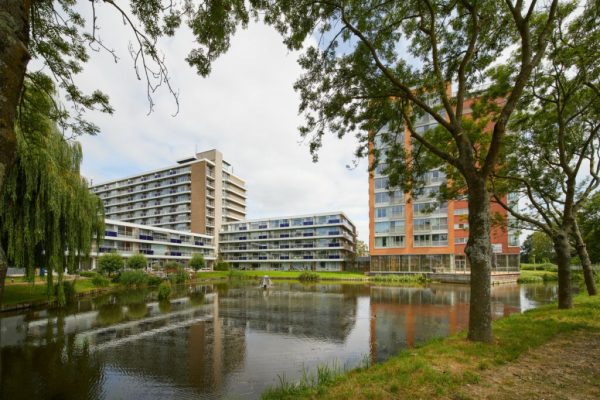 Dienstbode De Driehoorne